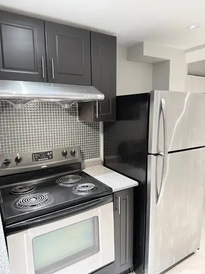 JSK, saaf-suthru ane sari rite maintain karel 2-bedroom basement apartment, je ek single professiona...
