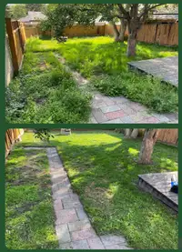 Lawn Mowing  North East NE