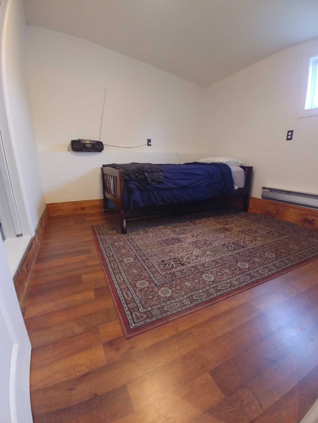 Large one bedroom apartment in Long Term Rentals in Trenton - Image 3