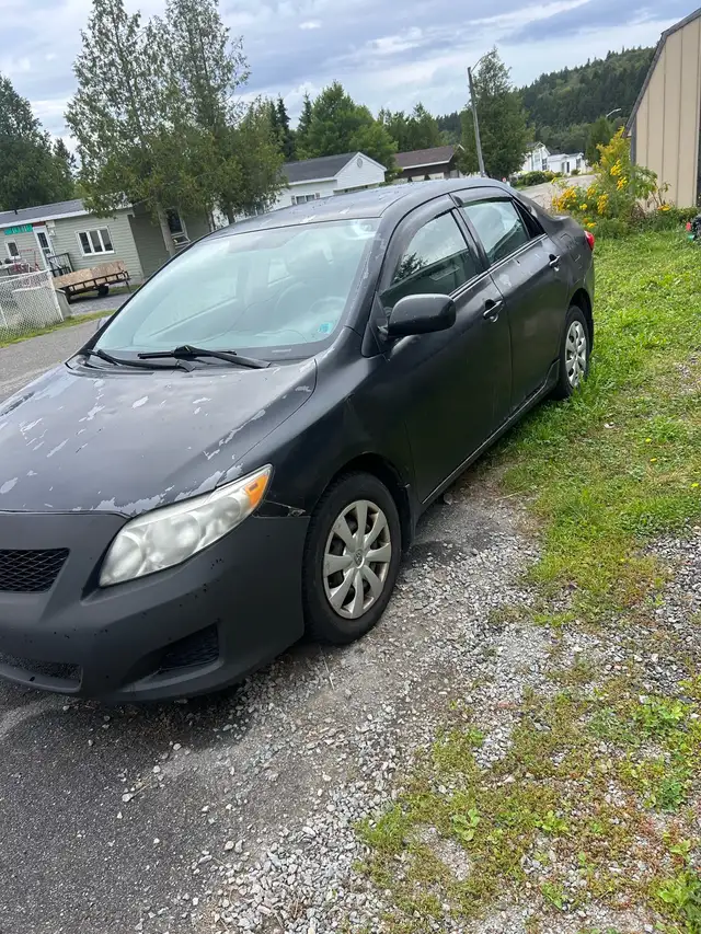 Corolla and Hyundai