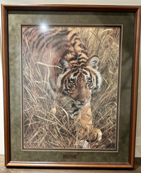 "Tall Grass Tiger" print 897/950 by Carl Brenders