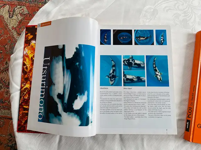 Koi 1 & Koi 2 – Mint Hardcover Set by Harald Bachmann in Other in City of Toronto - Image 8