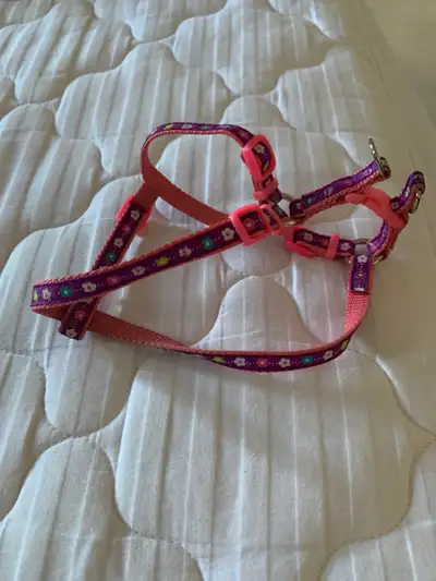 Small dog harness