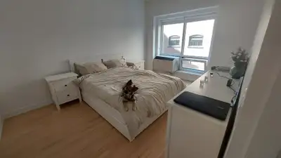 [1st Month Free] [Lease Transfer] Montreal Downtown 3.5