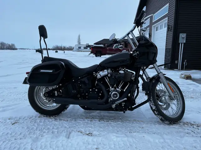 2020 Harley Davidson FXST in Street, Cruisers & Choppers in Saskatoon - Image 5