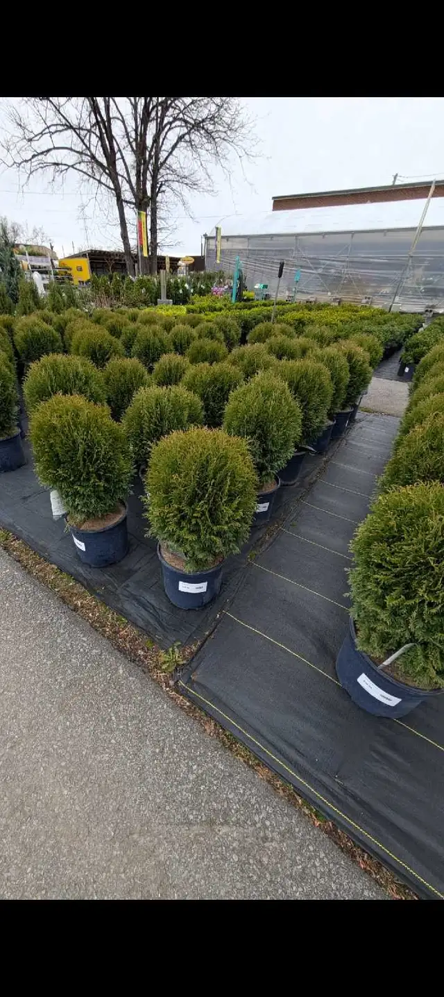 Landscape Architect421187354802923522