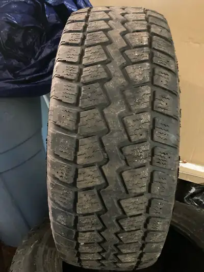 Winter quest 17 inch