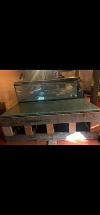 380 and 180 gallon aquariums