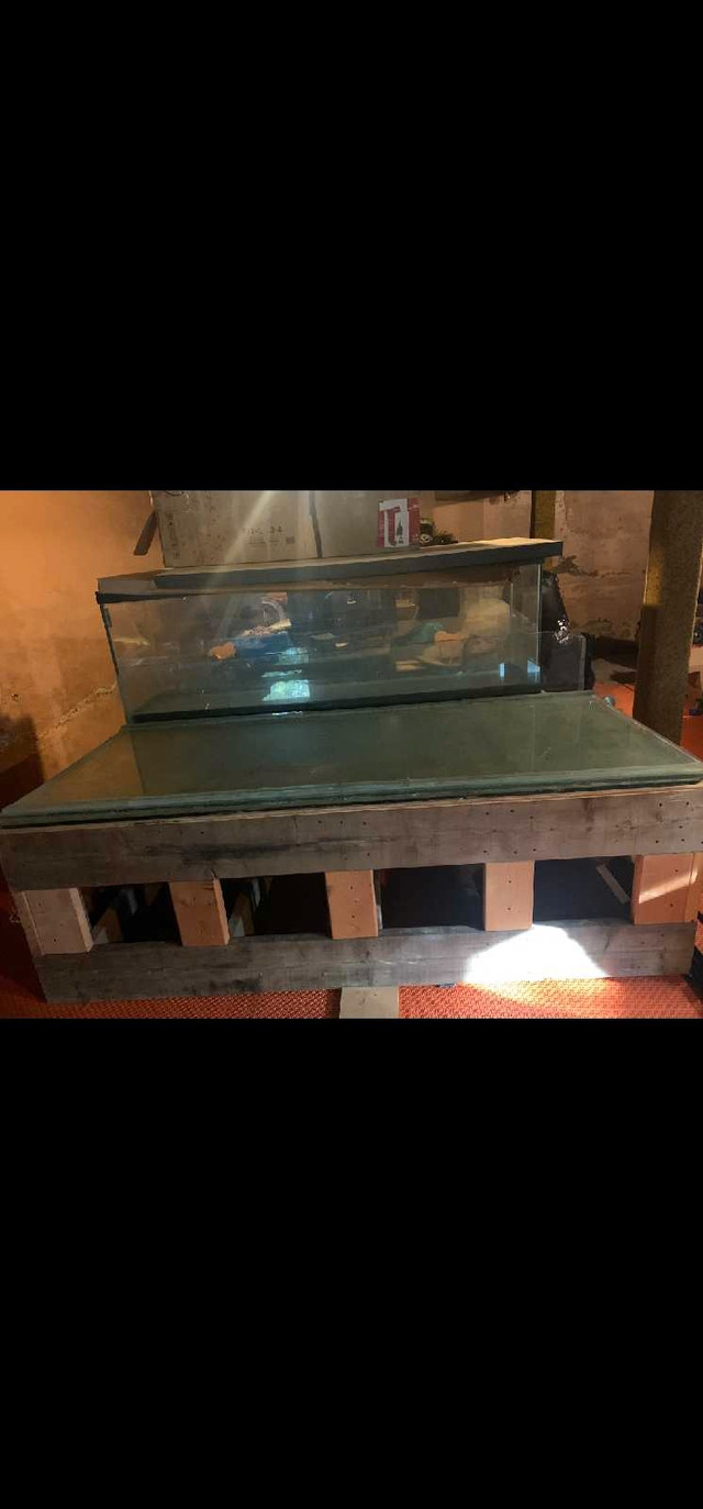 380 and 180 gallon aquariums in Accessories in Truro