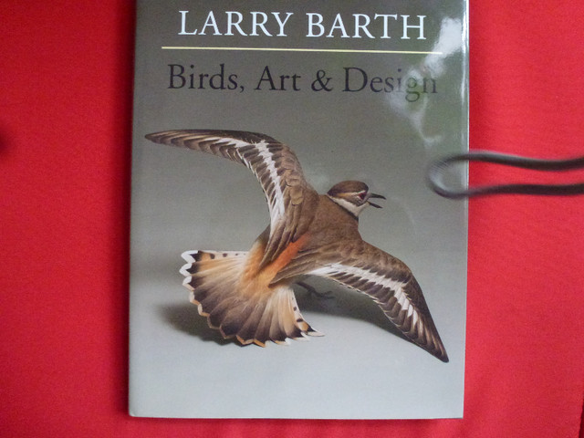 livre bird art design montage avec sculpture oiseaux dans Manuels  à Trois-Rivières