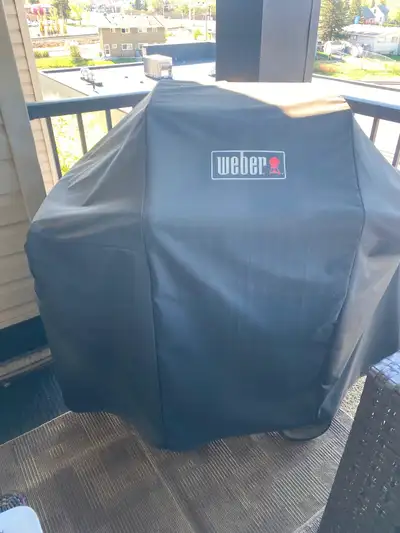 Weber 2 burner gas grill with stand, cover and hookups, View more
