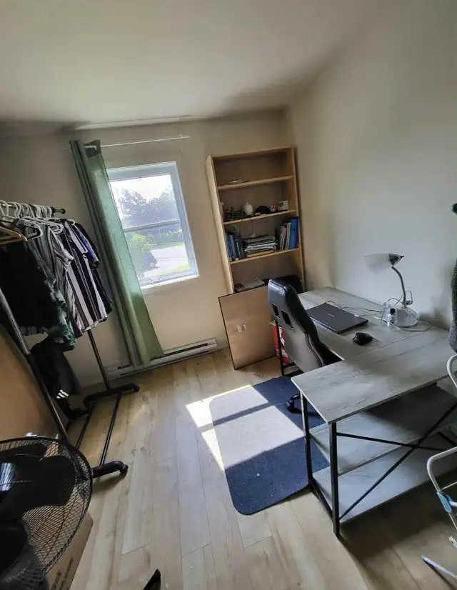 Chambre à louer - recherche coloc in Room Rentals & Roommates in West Island - Image 2