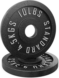 10LB Pair Synergee Olympic Metal Weight Plates with 2” Opening