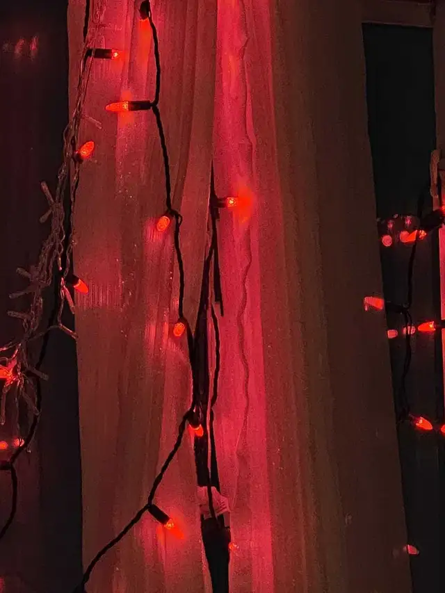 install Christmas Lights in Other in Sault Ste. Marie - Image 3