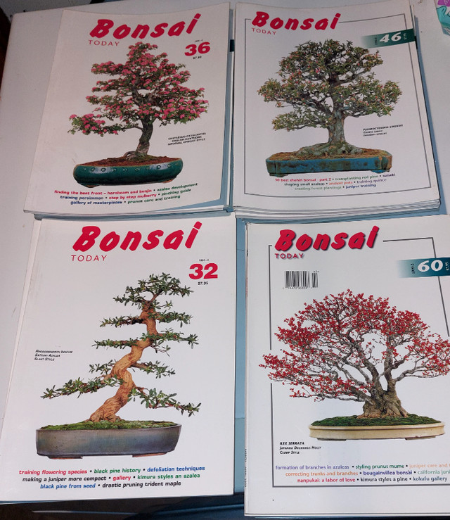 BONSAI Today Lot of 33 Magazines in Magazines in Kingston - Image 3