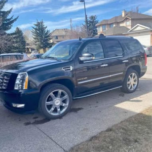 2011 Cadillac Escalade