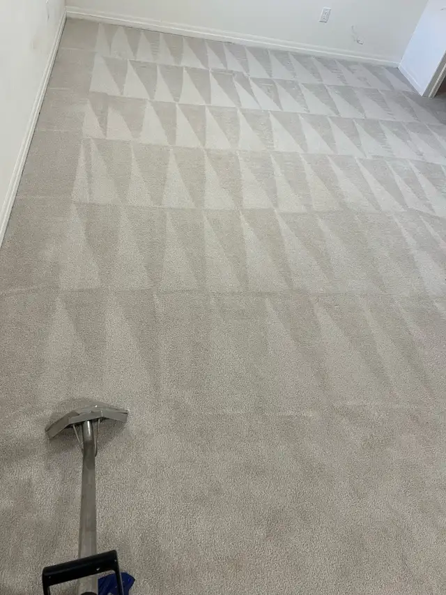 Carpet and couches and mattresses cleaning 63793687254913120