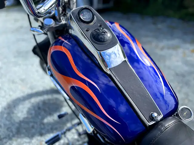 1982 Harley FXR in Street, Cruisers & Choppers in Vernon - Image 6