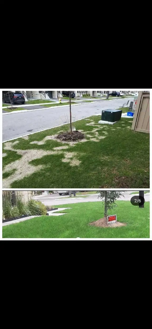 aeration dethatching/power raking instant pricing garden cleanup in Lawn, Tree Maintenance & Eavestrough in Mississauga / Peel Region - Image 4