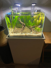 Complete aquarium setup 