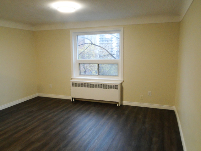 Studio apartment now available! $1,249 in Long Term Rentals in Hamilton - Image 3