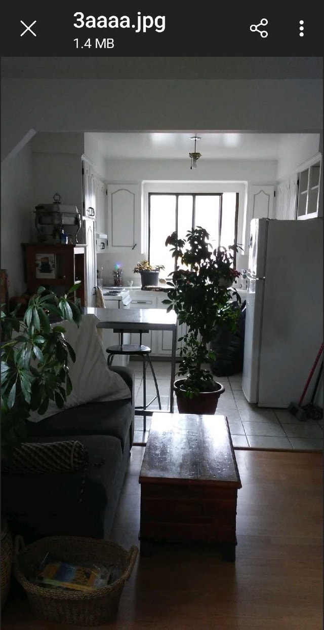 3½ a louer — photo 1