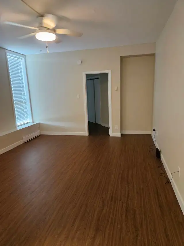 Cozy 1-bedroom apartment available for rent starting December 15