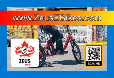 EN STOCK! #1 Trike Électrique Stable au Canada. ZeusEbikes.com, View more
