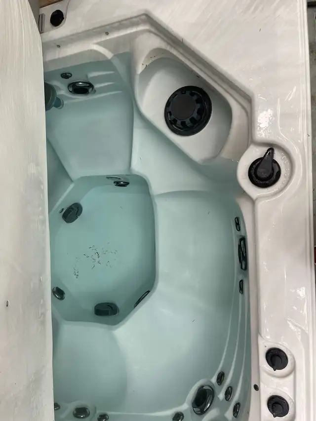 Dynasty Spa hot tub for sale.