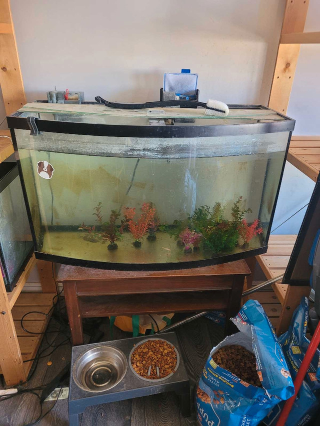 Fish tank in Accessories in Kitchener / Waterloo