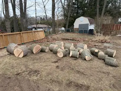 Free wood for pick up, View more