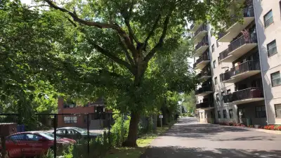 Looking for a Desi female Roomate , to share a very safe Apt near Humber college lakeshore campus ....