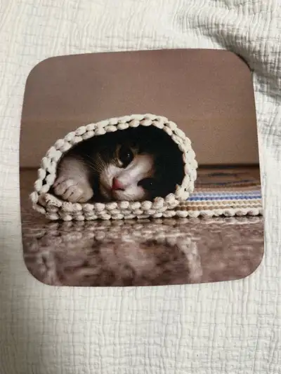 kitten mouse pad, View more