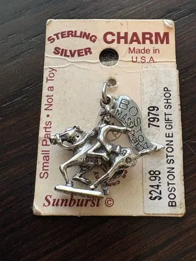Sunburst Sterling Charm, View more