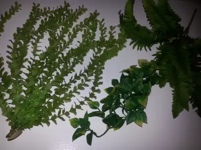 Fake plants for Terrarium, View more
