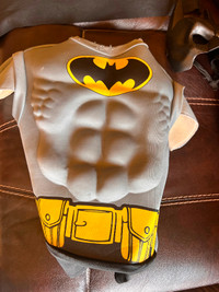 Boy's Batman muscle costume from Party City