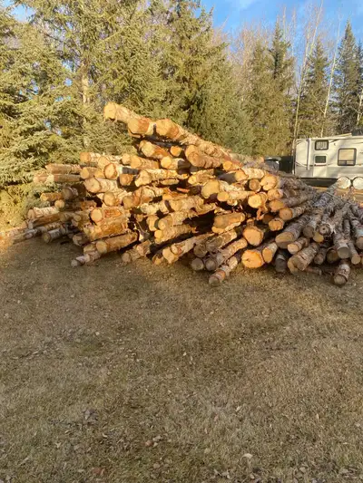 Birch Firewood, View more