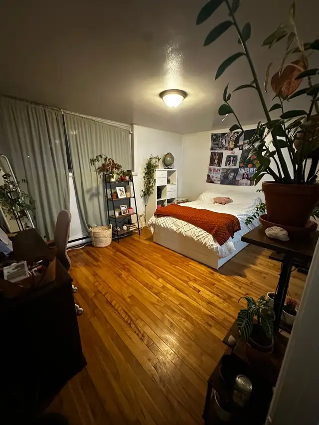 Photo 4