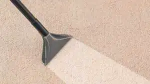 carpet Cleaning Carpet Steam Cleaner Carpet Cleaning Cheap Rate , View more