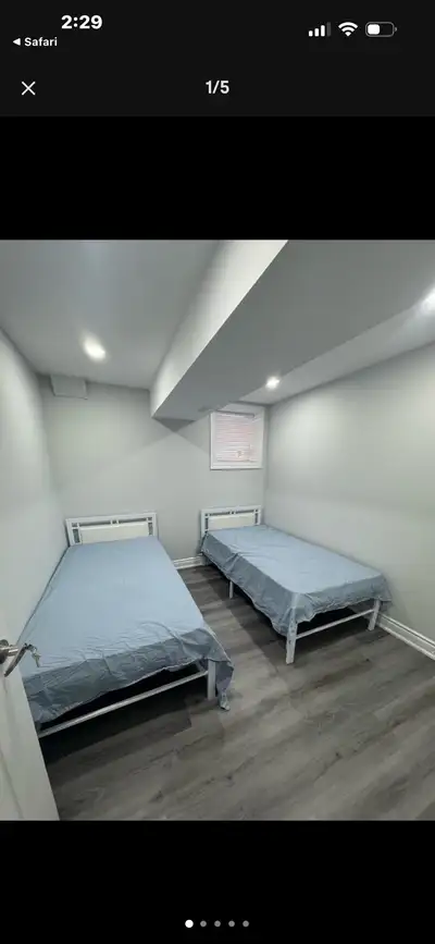 Basement walkout Sharing Clean people we need