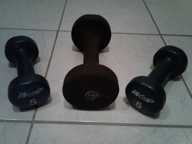 Various weight plates and dumbbells for $1 per pound  in Exercise Equipment in City of Toronto - Image 4