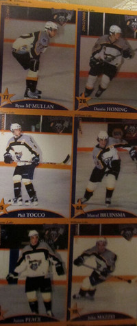 Hockey Stick Signed  2002-03 Williams Lake TimberWolves & cards