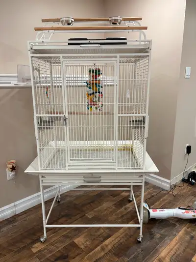 Kings cage, View more