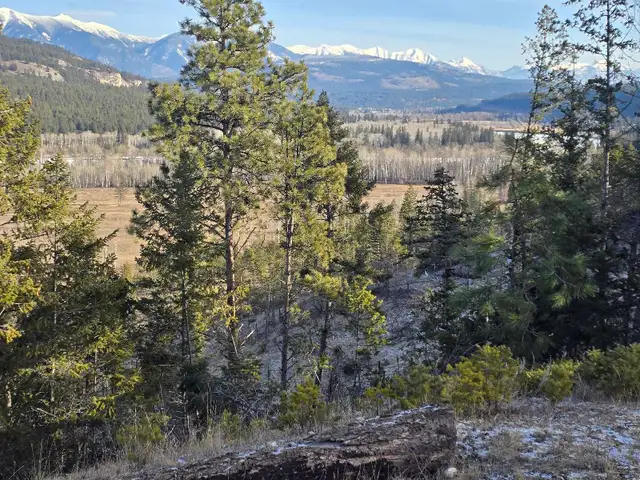 281-Acre Riverfront Property | Mountain Views | Kootenay in Land for Sale in Cranbrook - Image 8