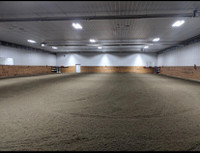 Horse Board Heated indoor 140X80' Arena 35min south Edmonton