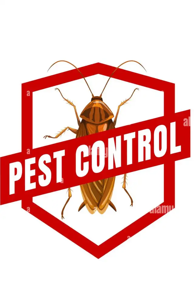 Pest Control Services 62864354294018122