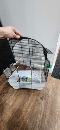 Medium size bird cage