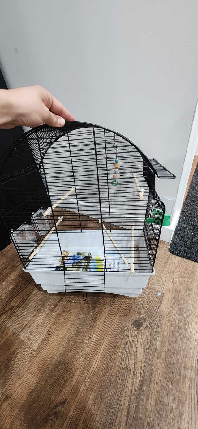 Medium size bird cage in Hobbies & Crafts in Winnipeg