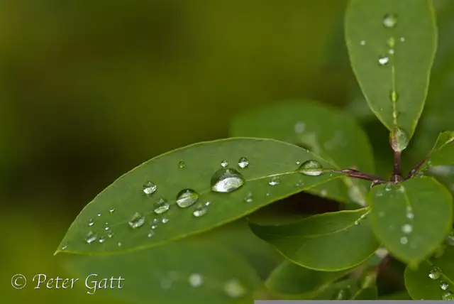 LIVE Interactive Photography Courses (Online)64551245062273123