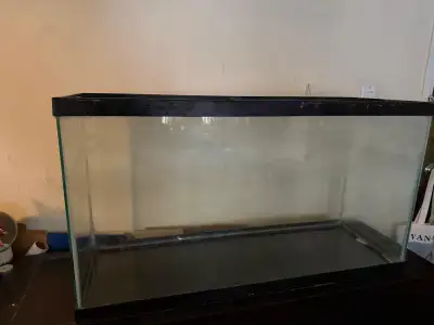 Complete 37-Gallon Aquarium/Fish Tank Setup – Filter, Heater etc, View more